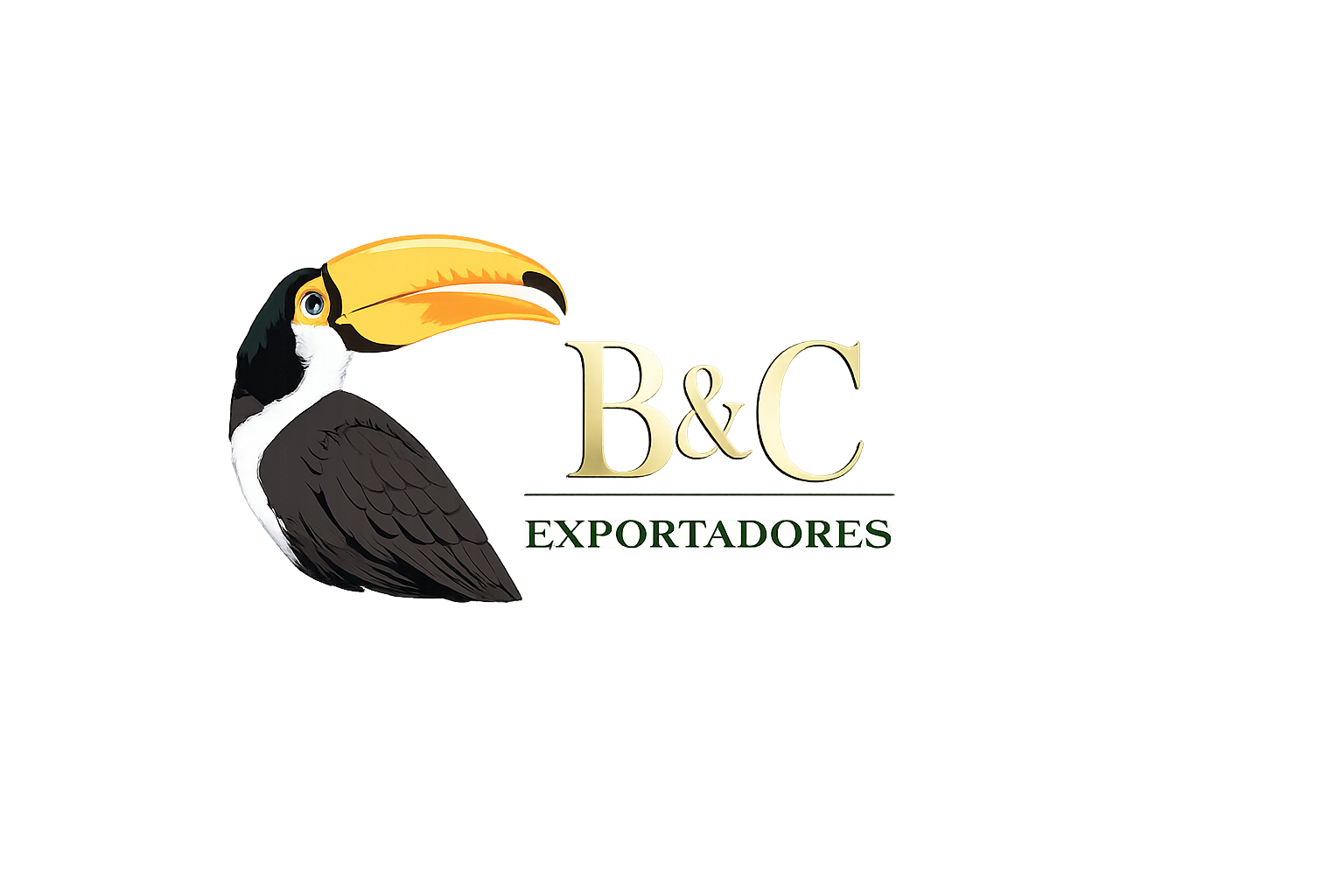 byc logo